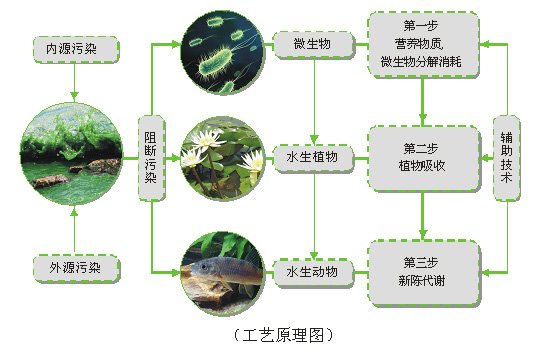 人工濕地污水處理技術(shù)的優(yōu)點(diǎn)與缺點(diǎn)